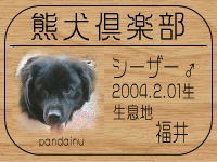 ���P���V���E�o����̂g�o�ւf�n�I